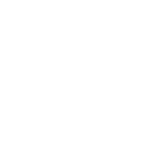 Vegan Friendly